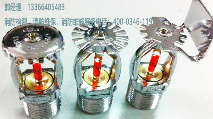 ���������^���b