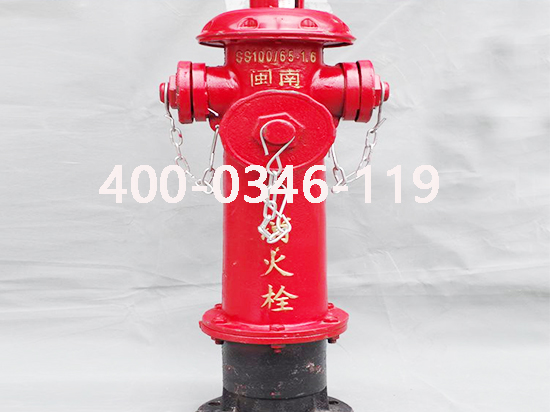 ����˨˨�ڱ��B