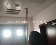 �����������������S��