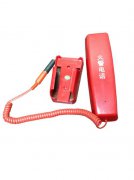 �����Ԓ����̎��