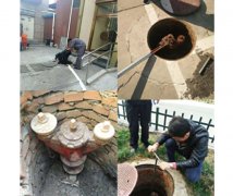 ����˨ϵ�y���b�����ԵĆ��}